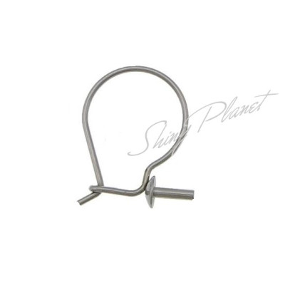 Stainless Steel Hook Earwire with spike original color