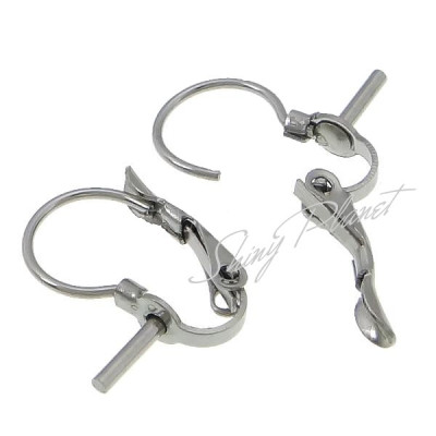 304 Stainless Steel Lever Back Earring Wires original color