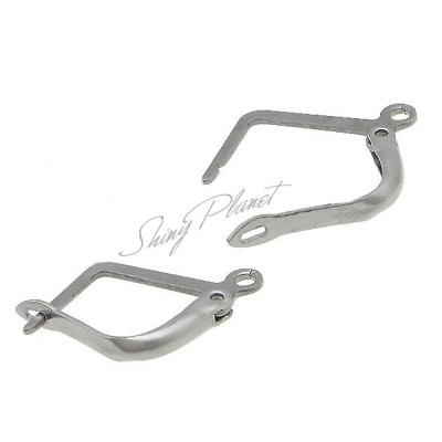 304 Stainless Steel Lever Back Earring Wires original color