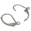 304 Stainless Steel Lever Back Earring Wires