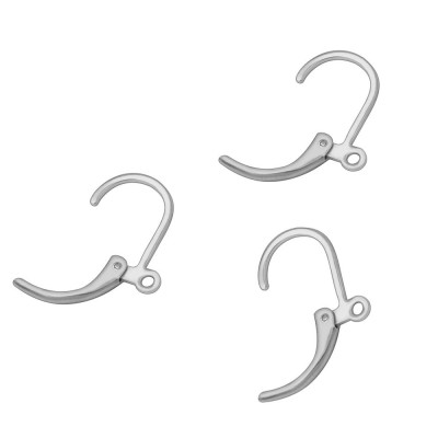 304 Stainless Steel Lever Back Earring Wires