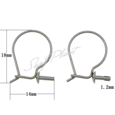 Stainless Steel Hook Earwire with spike original color