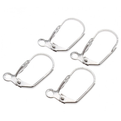 304 Stainless Steel Lever Back Earring Wires