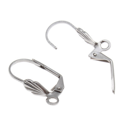304 Stainless Steel Lever Back Earring Wires