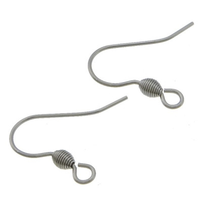 304 Stainless Steel Hook Earwire original color