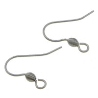 304 Stainless Steel Hook Earwire original color 