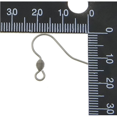 304 Stainless Steel Hook Earwire original color