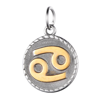 Pendant Zodiac surgical steel