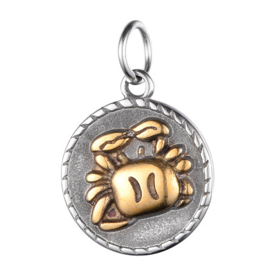 Přívěsek Zvěrokruh chirurgická ocel