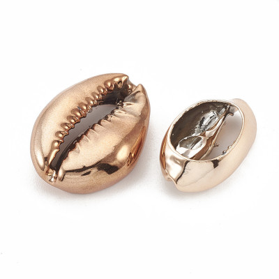 Seashells in color galvanization