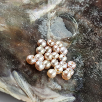 Sladkovodní perla světlá 4,5-5mm polovrtaná