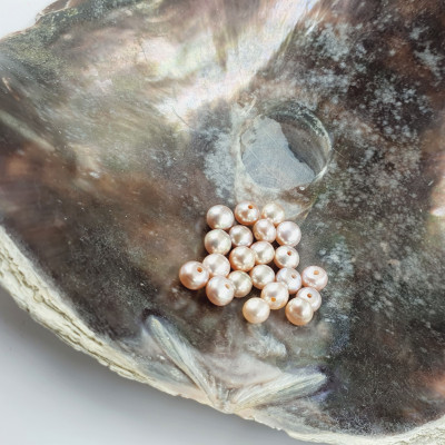 Freshwater pearl light 4.5-5mm semi-drilled
