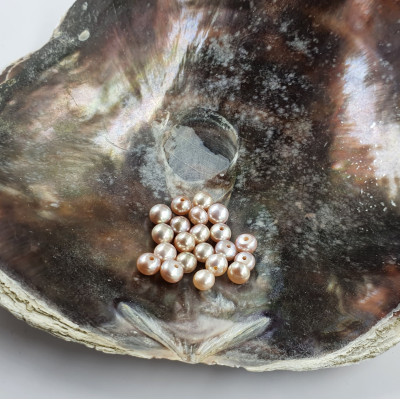 Freshwater pearl light 4.5-5mm semi-drilled