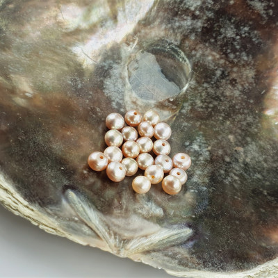 Freshwater pearl light 4.5-5mm semi-drilled
