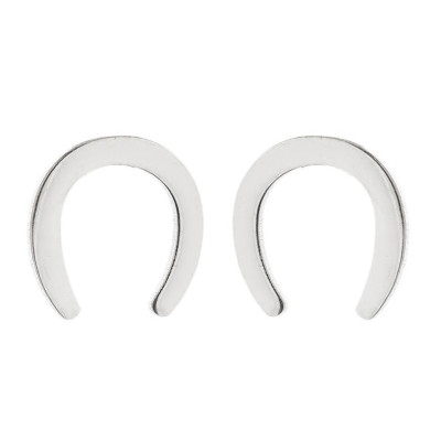 Surgical steel horseshoe earrings