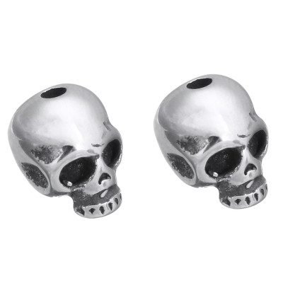 Miniature skull surgical steel
