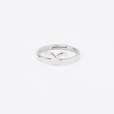 Zodiac sign ring surgical steel