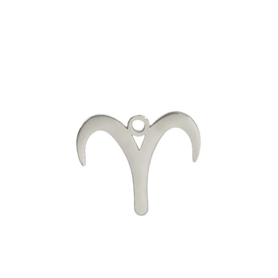 Přívěsek znamení zvěrokruhu chirurgická ocel