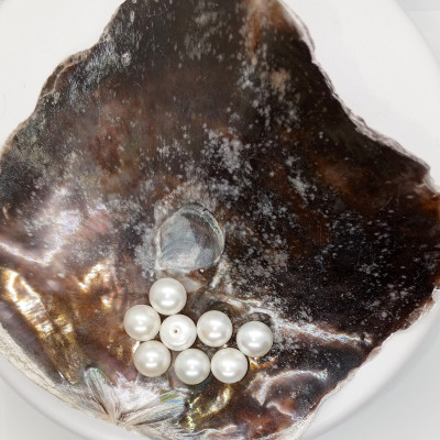 Sweetwater pearl Natural white colour 10-10,5mm 1pc