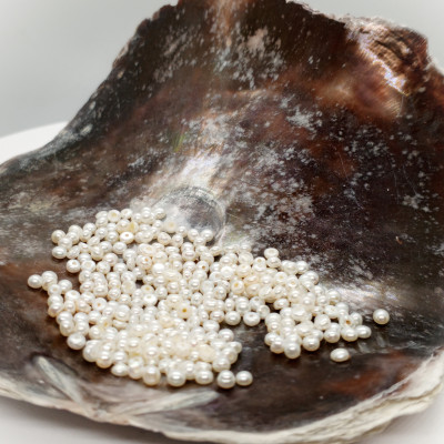 Freshwater pearl 2,5-3mm white half drilled