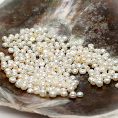 Sladkovodní perla bílá 2,5-3mm polovrtaná