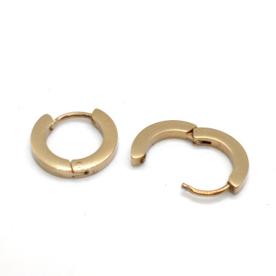 Ring earrings surgical steel