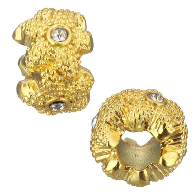 korálek mořská hvězdice