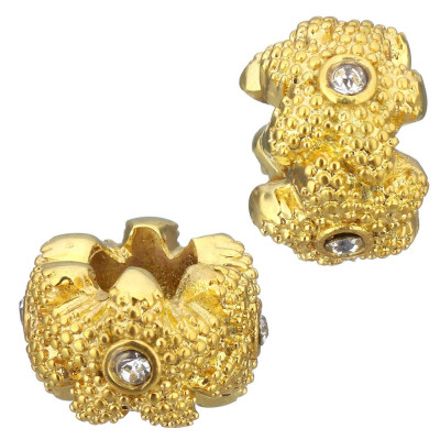 korálek mořská hvězdice